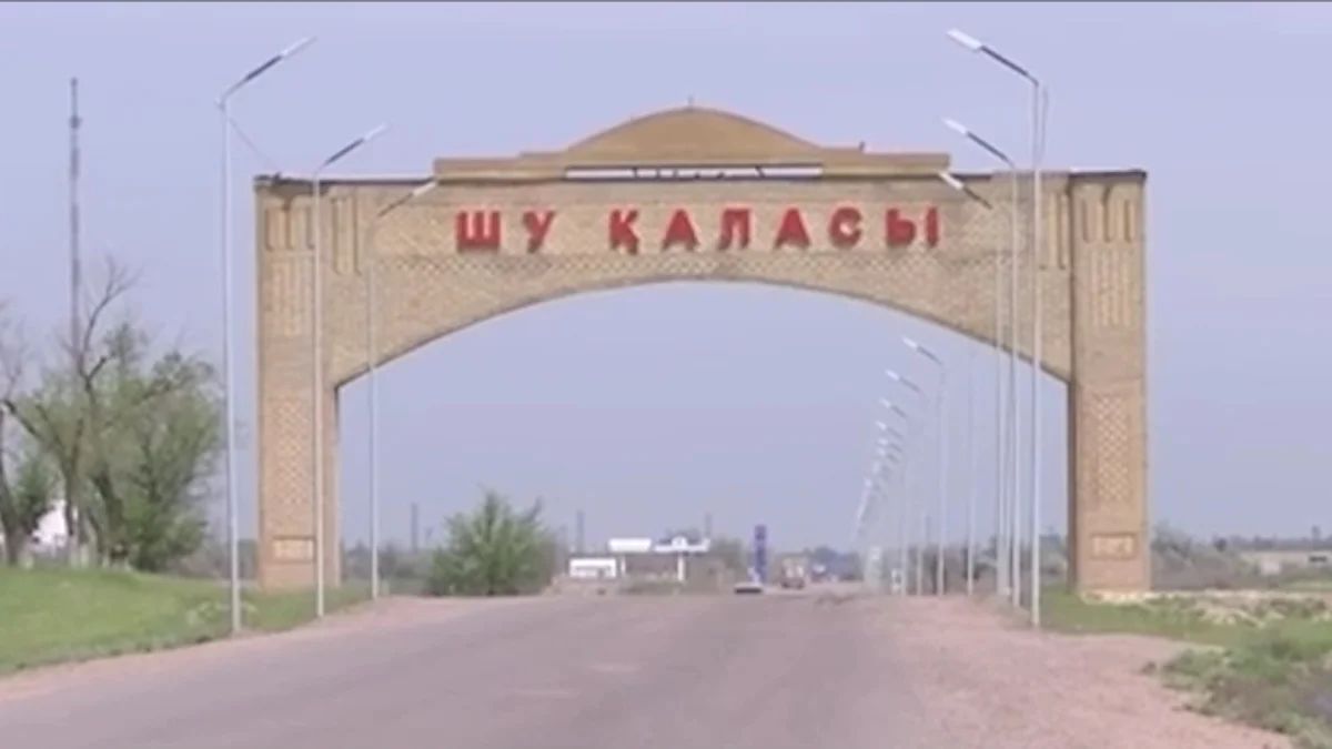 Шу қаласының тұрғынын өз үйінде өлтіріп кеткен