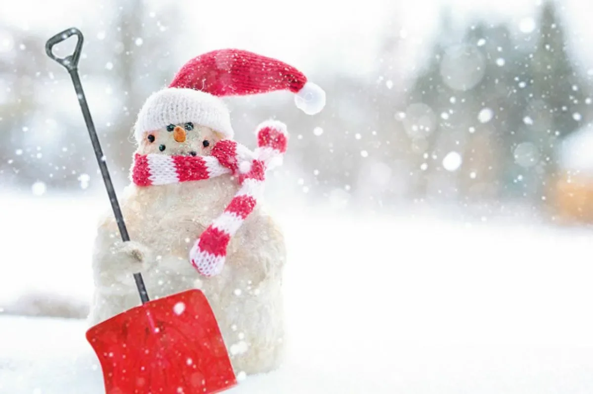 Снегопады прогнозируют во всех мегаполисах в среду, 10 декабря