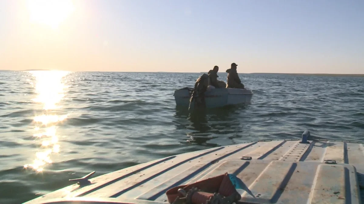 Су айдындарының тарылуы сала мамандарын алаңдатып отыр