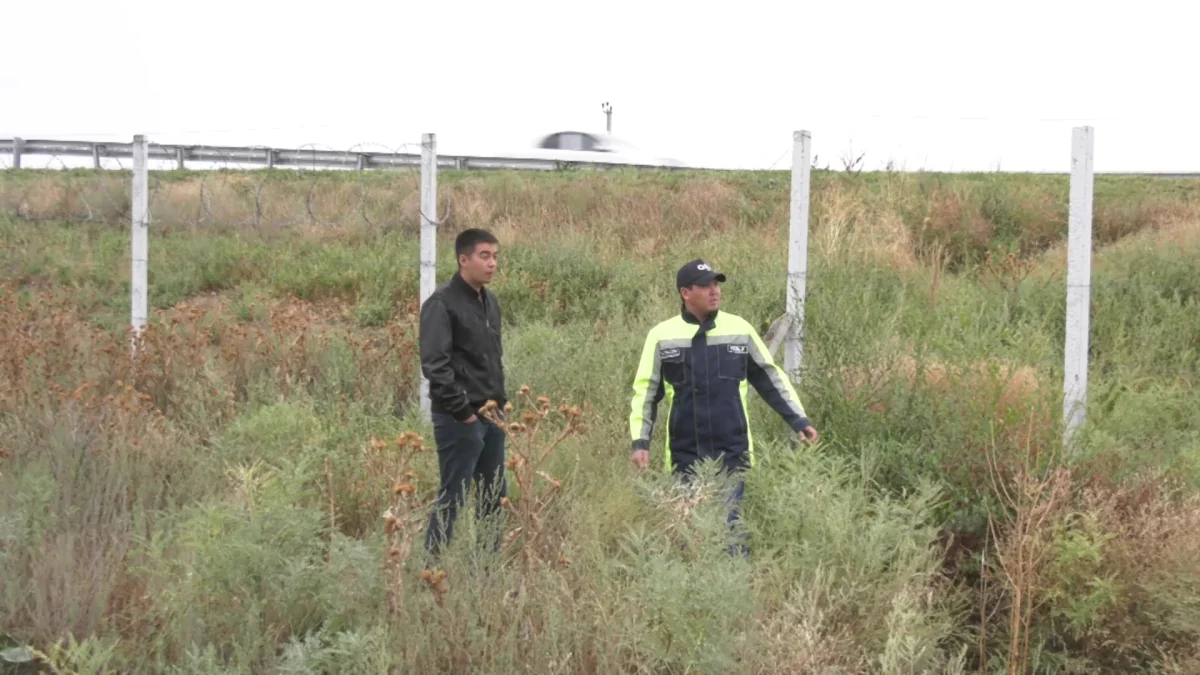 Охотник застрелил своего друга в Мангистауской области