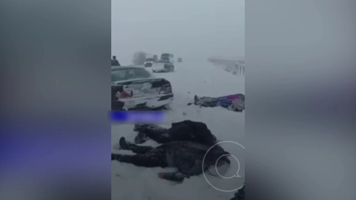 Жетісу облысында жантүршігерлік жол апатынан 4 адам мерт болды