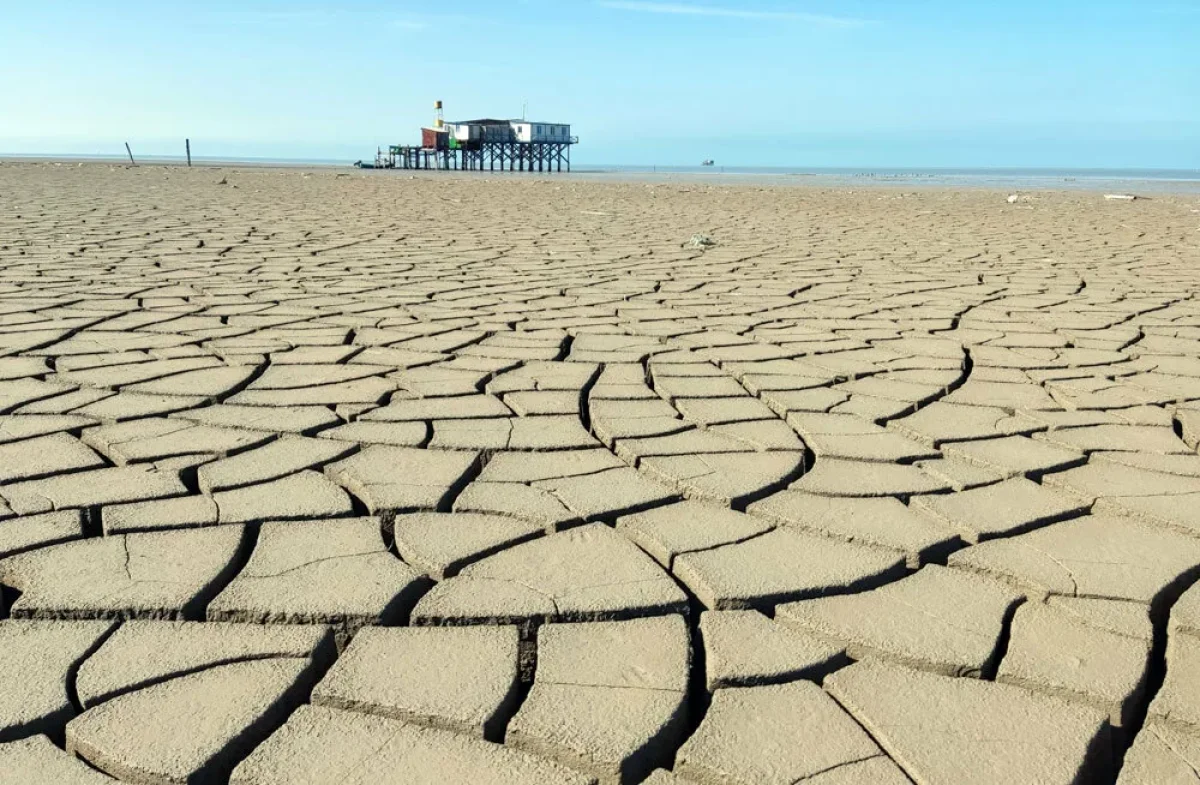 Призываем все мировое сообщество поддержать наши усилия по сохранению Каспия, - Токаев
