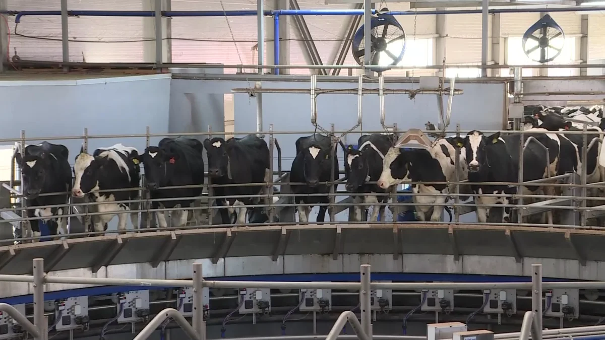 Мәжіліс депутаттары агросекторды жаңғырту жолдарын талқылады