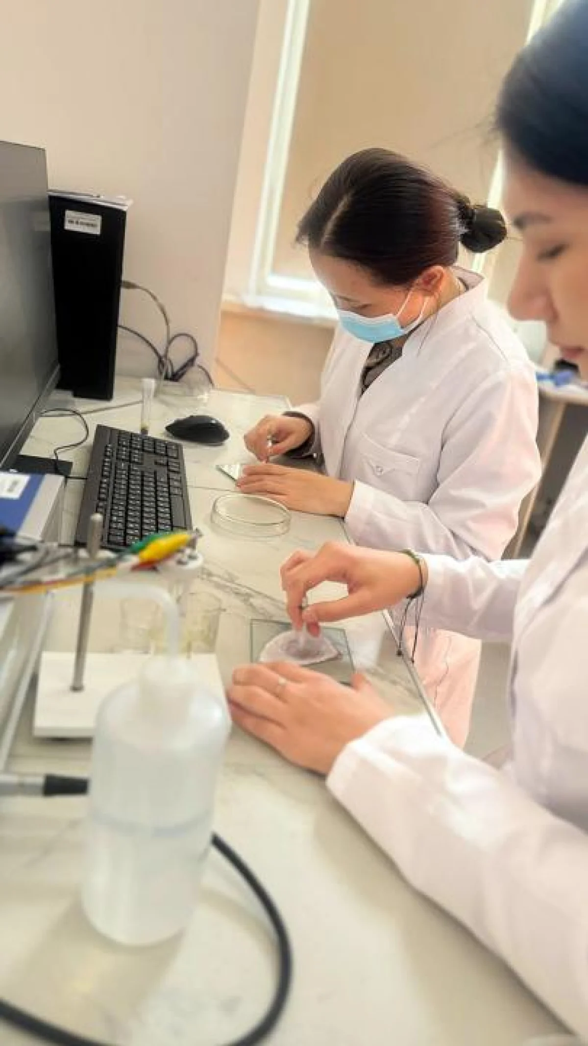 Ғалымдар пестицидтерді анықтаудың жедел әдісін ойлап тапты