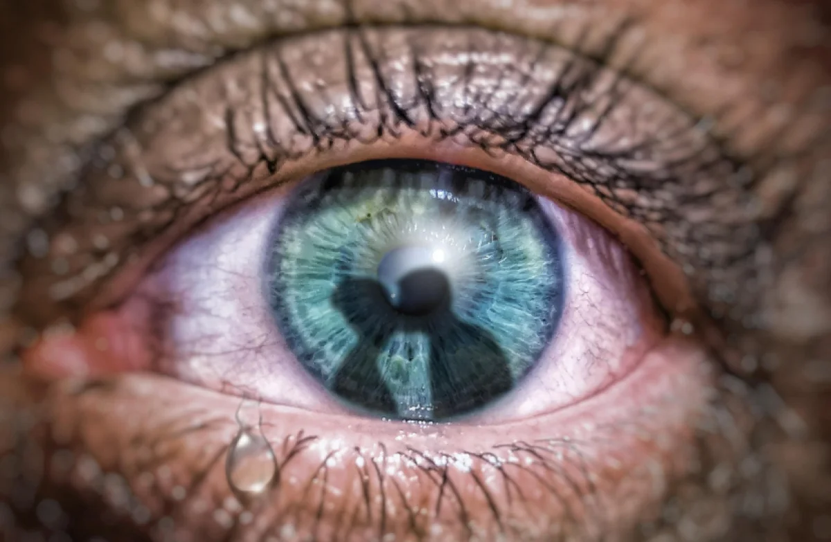 Темы ревности всплывут у Близнецов, приятные сюрпризы ждут Львов: гороскоп на субботу, 13 декабря