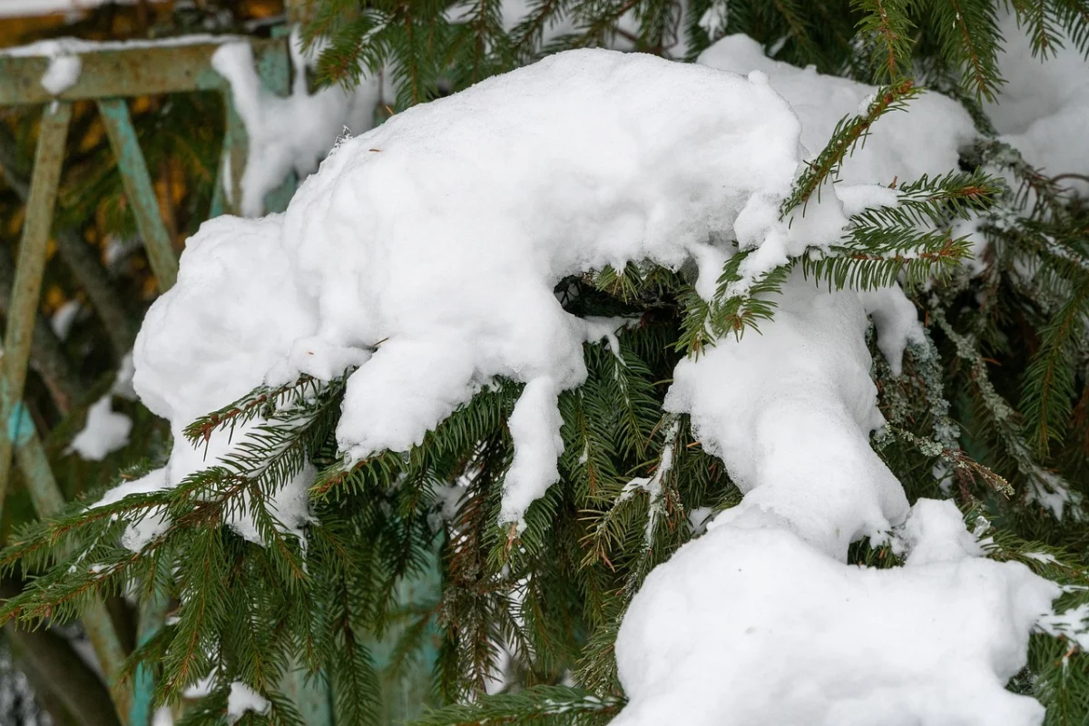 Астану ждёт суровая зимняя неделя: метели, морозы и шквалистый ветер