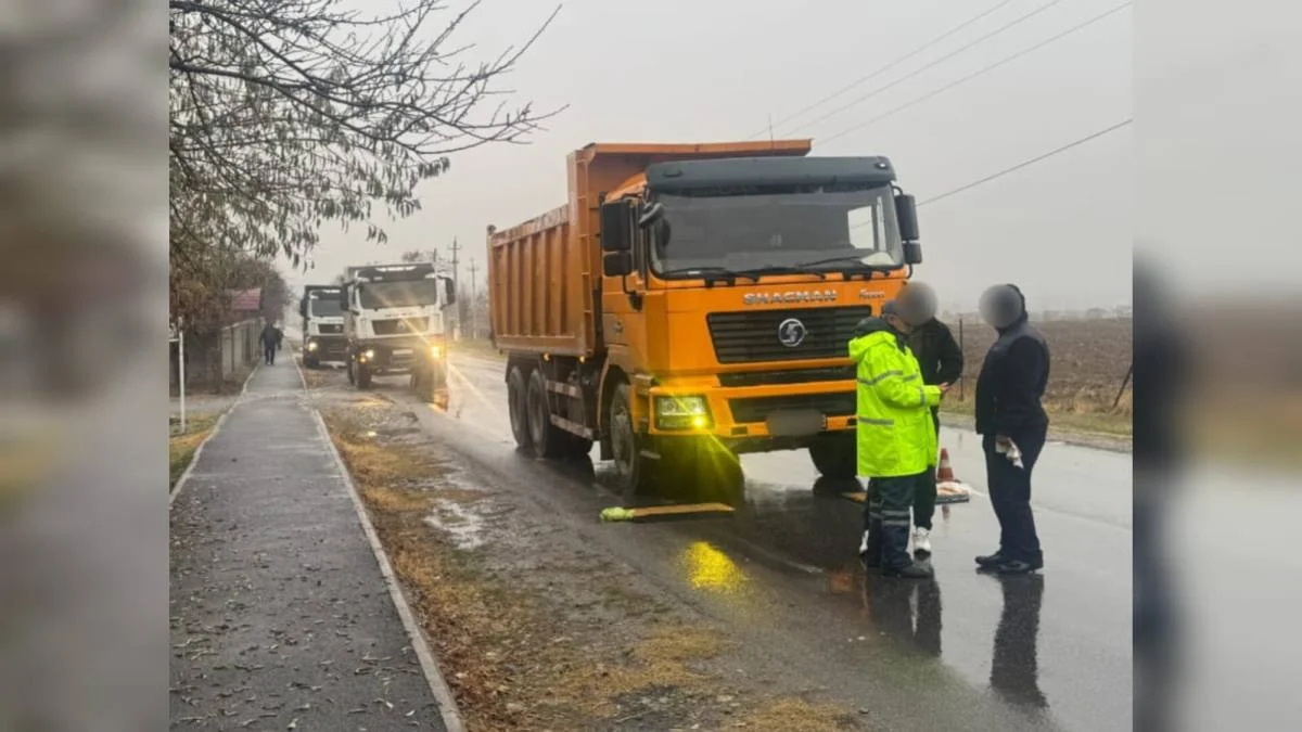 Түркістан облысында полицейлер табиғи ресурстарды заңсыз тасымалдаған 15 жүк көлігін анықтады