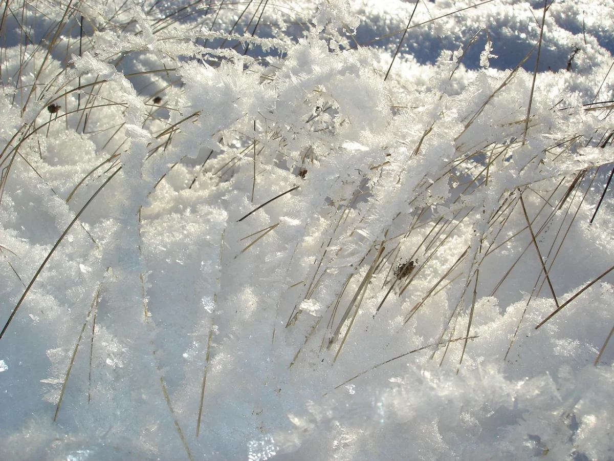 Қар жауып, боран соғады:  «Қазгидромет» дауылды ескерту жариялады