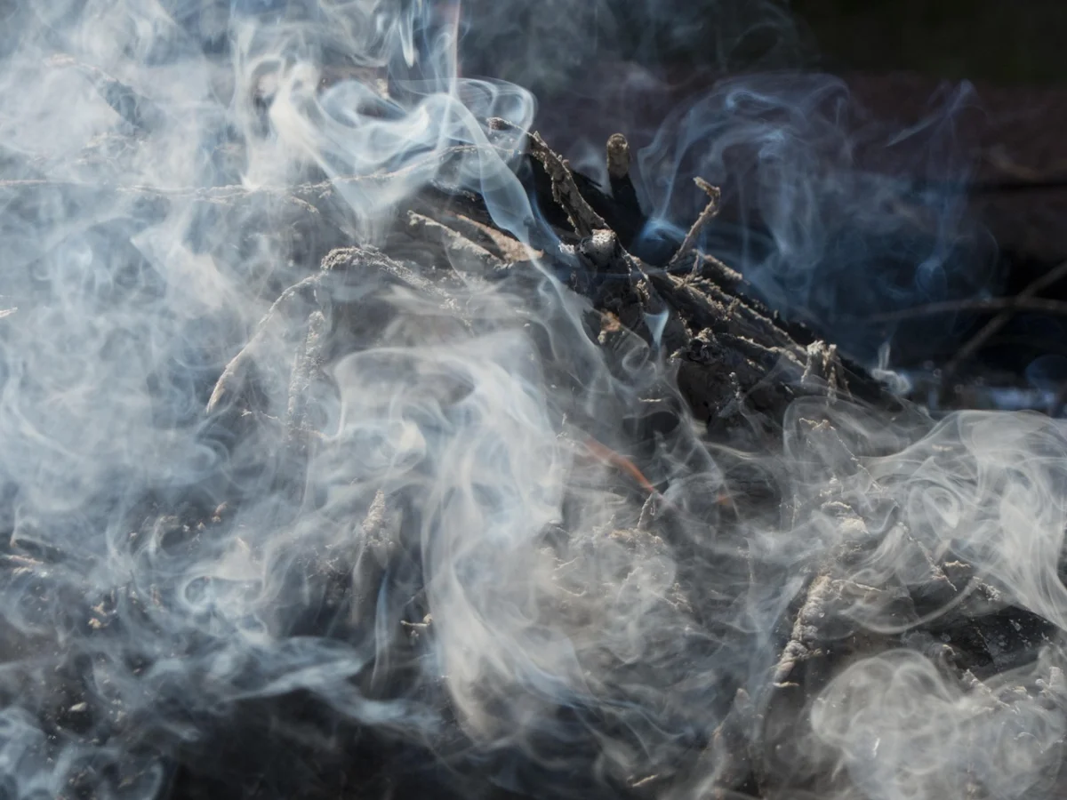 20 адам эвакуацияланды