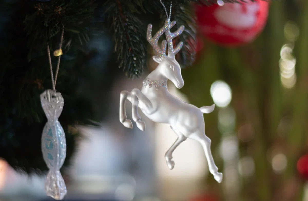 Новогодние ловушки: полиция предупреждает о схеме мошенничества с продажей ёлок