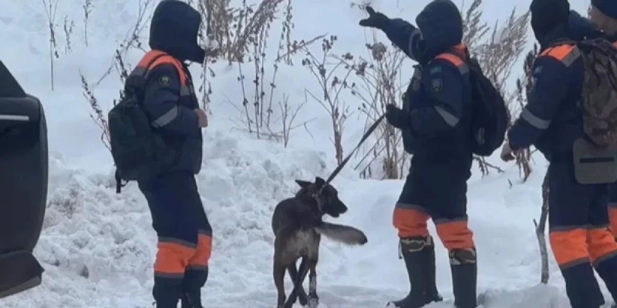 Алматы тауларында құтқарушылар жас қыздың мәйітін тапты