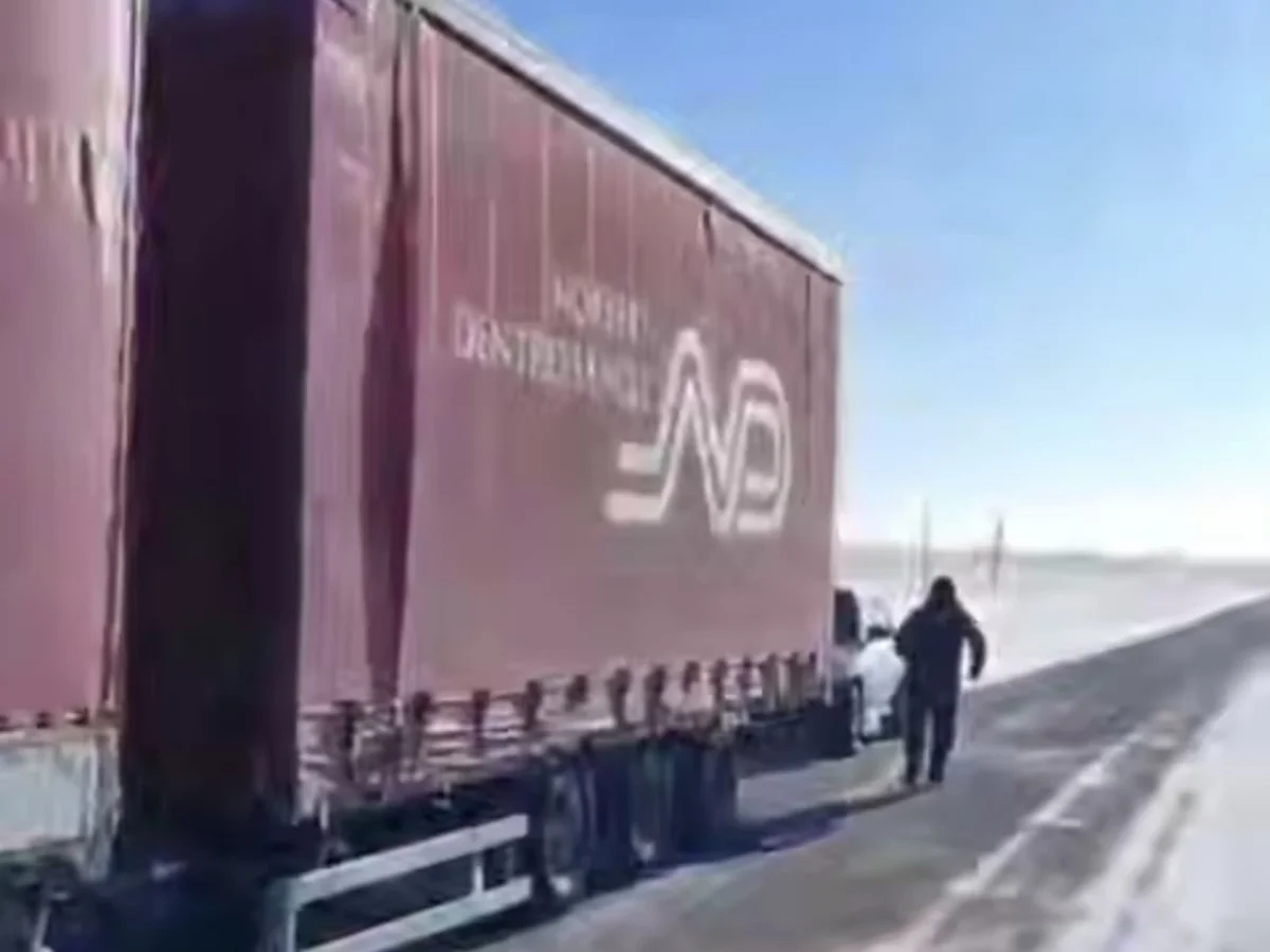 Большегруз с 45 лошадьми попал в беду из-за морозов в Костанайской области