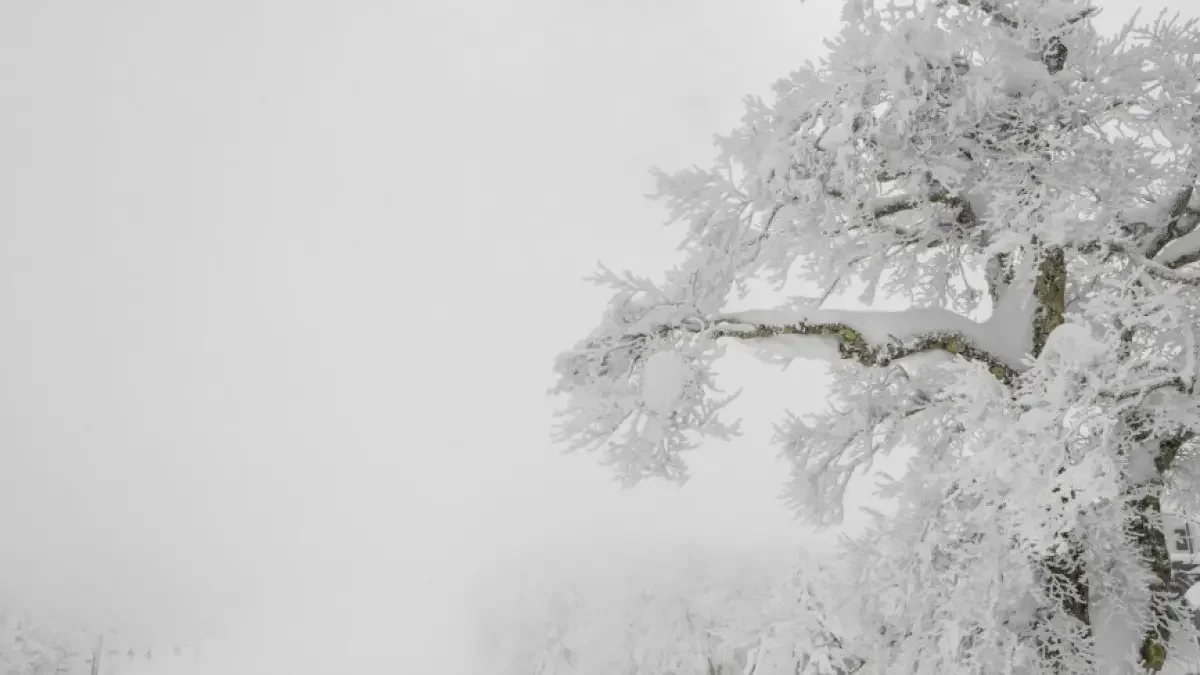 Күн күрт суытады