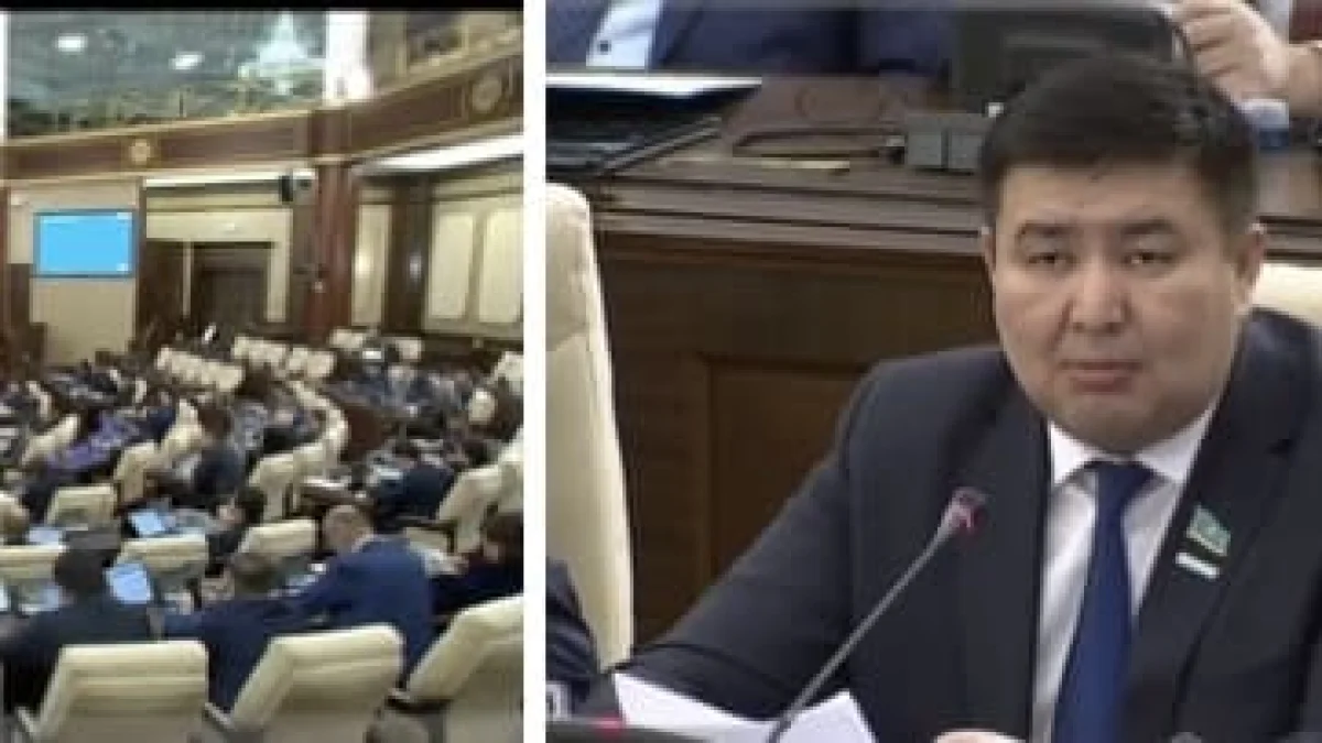 Премии при убытках соцпредкорпораций возмутили мажилисменов