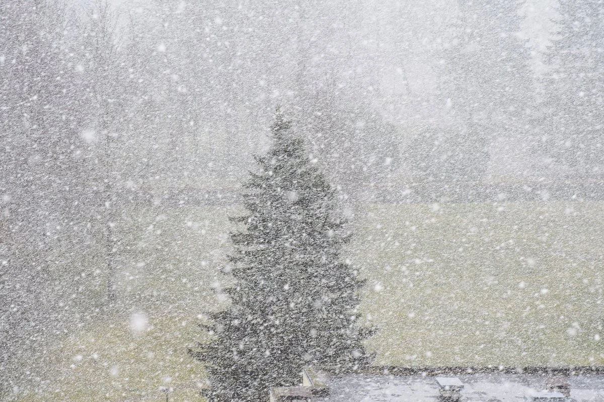 В Астане метель, в Алматы и Шымкенте туман