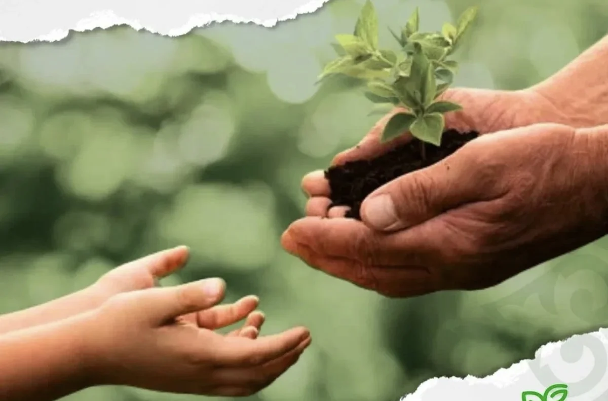 Новые заповедники, мусорозаводы и «Таза Қазақстан»: названы топ-10 экособытий 2025 года