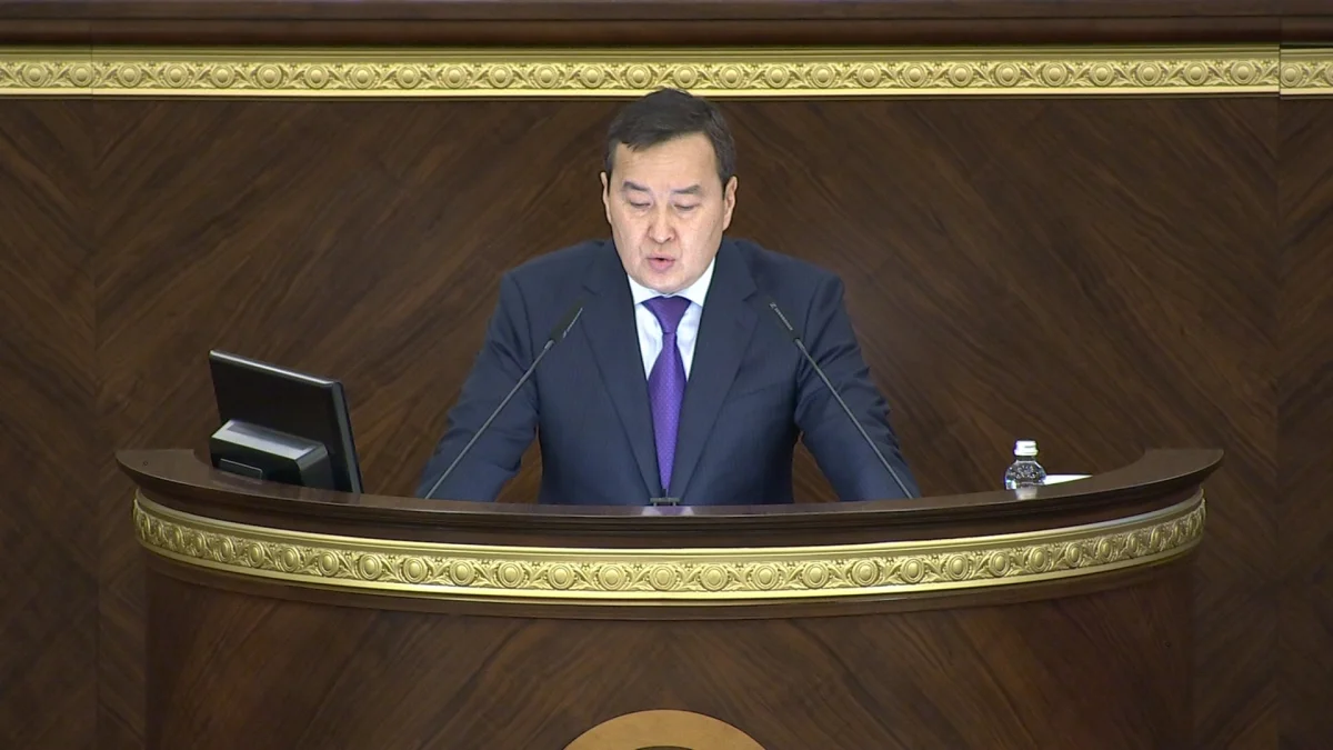 «Мүлде жұмыс істемейтін кәсіпкерлерге бюджеттен қыруар қаржы бөлінген», - депутат