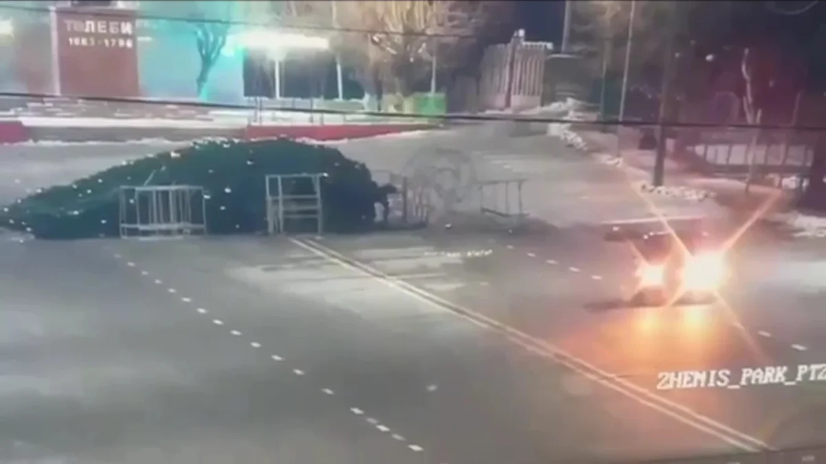 Түркістан облысында көлік жүргізуші орталық алаңдағы шыршаны құлатып кетті