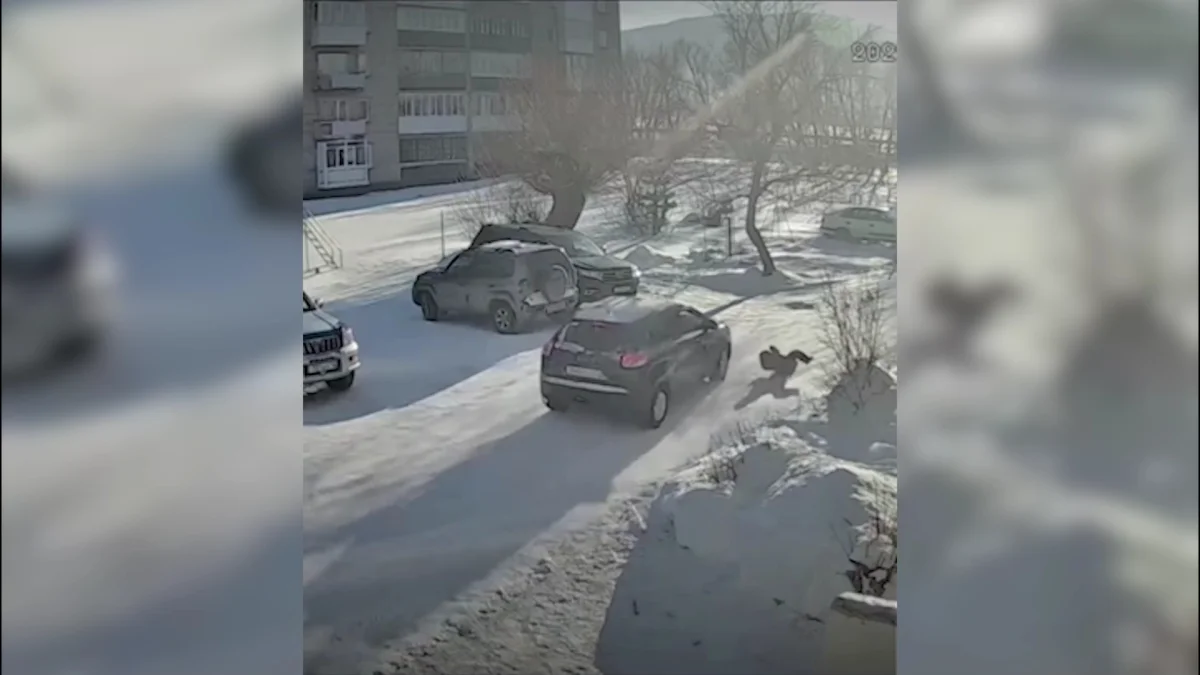 Водитель сбил ребенка в Риддере и скрылся: полиция нашла подозреваемого