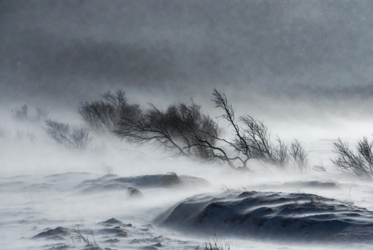 Снег, метели и гололёд: Казахстан накроет непогода в выходные