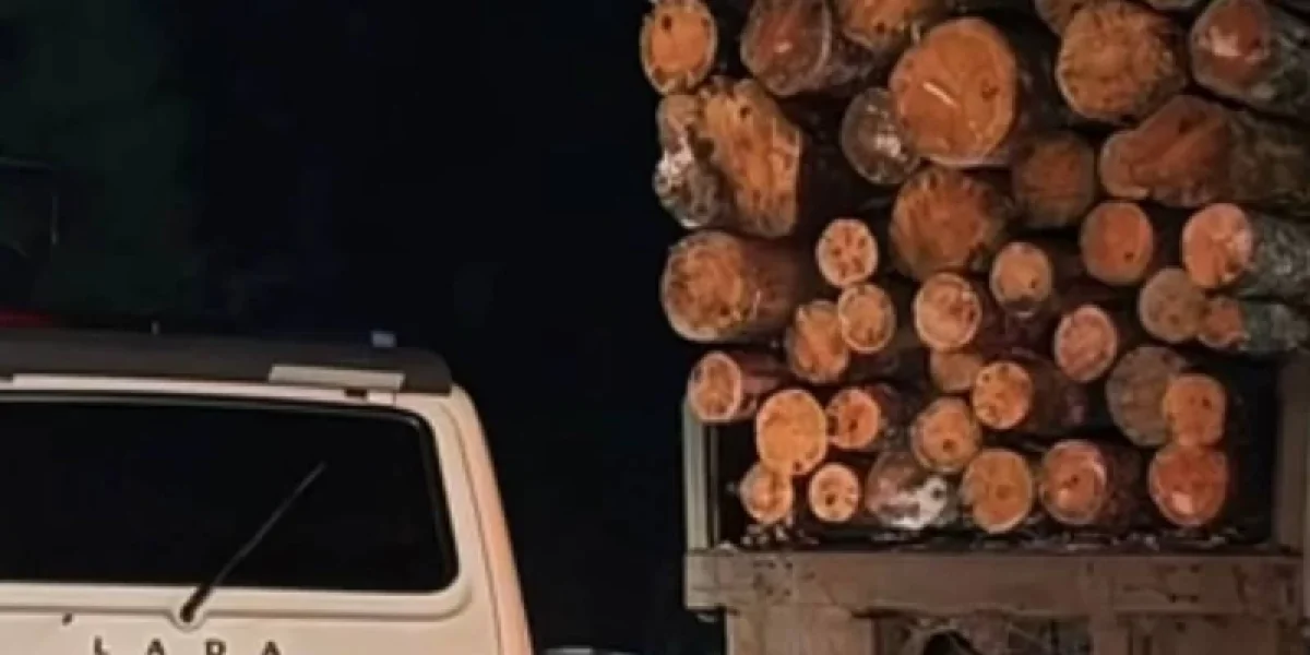 Жүргізуші куәлігінсіз жүк көлігін тізгіндеген азамат ұсталды