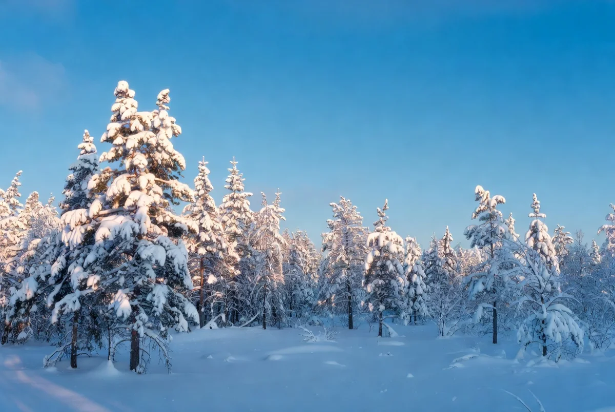 Снег и похолодание: прогноз погоды на 27 декабря для Астаны, Алматы и Шымкента