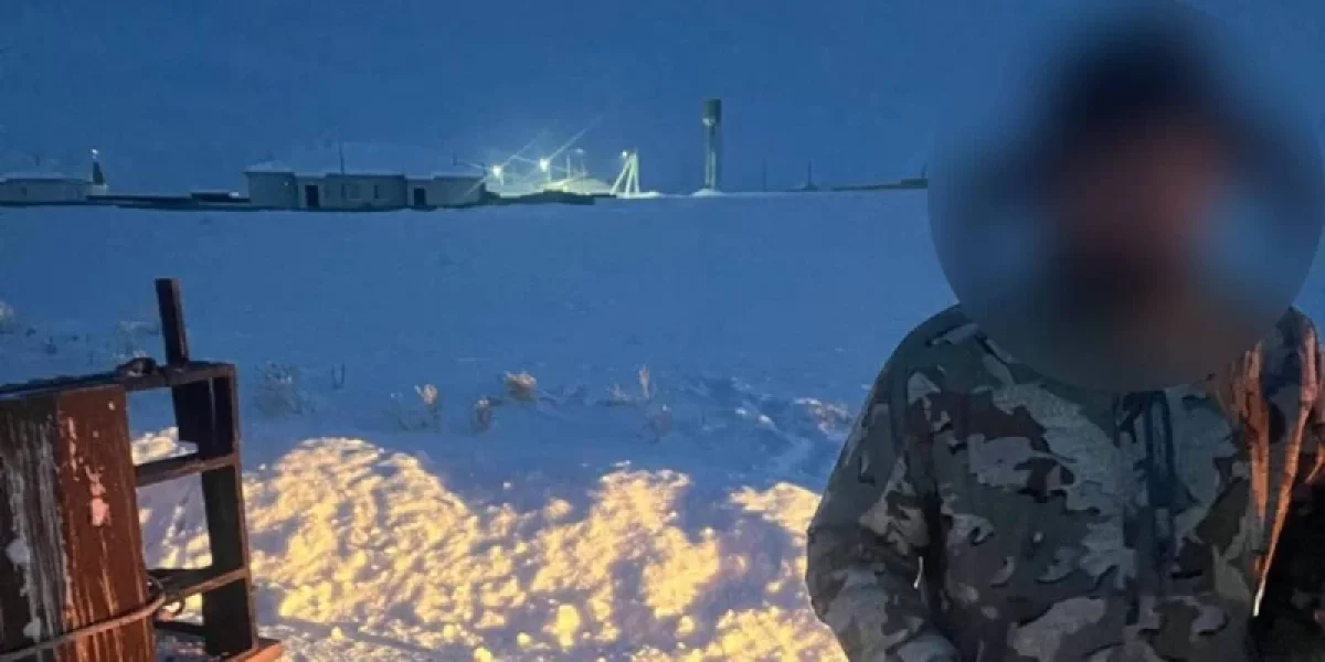 Абай облысында қасқыр атқан аңшы айыппұл төледі