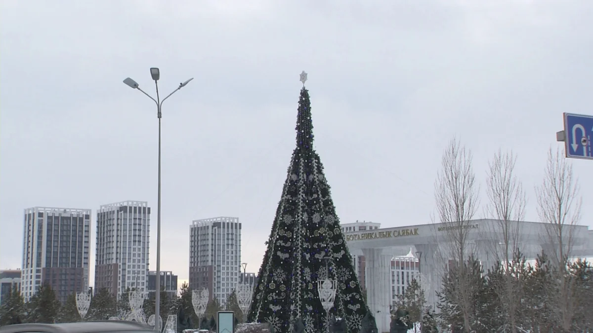 Жылан жылы несімен есте қалады?