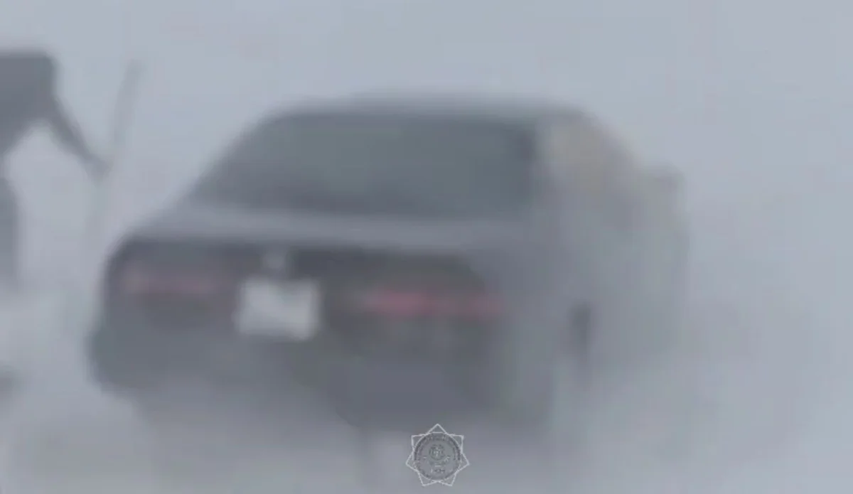 Қар құрсауынан 4 адам құтқарылды