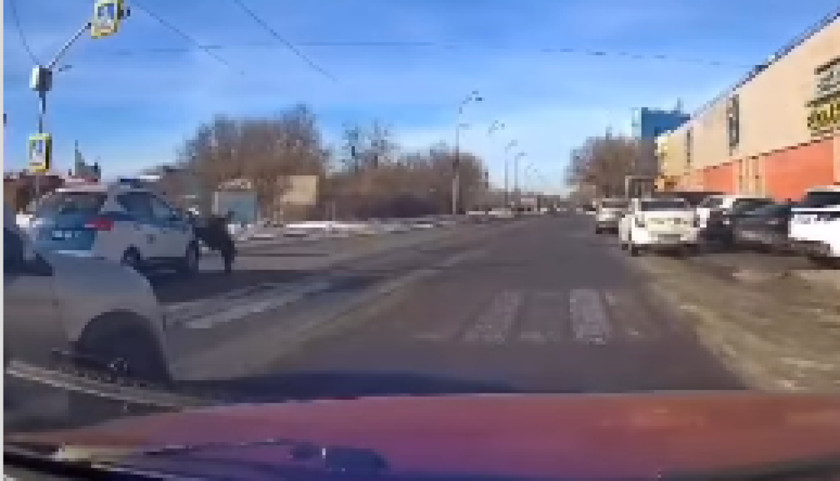 Патрульная машина сбила девушку на пешеходном переходе в Караганде