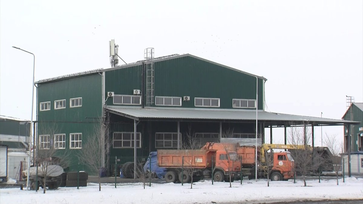 Алматыда қоқыс өңдеу зауытынан 36 жастағы әйелдің бөлшектелген денесі табылды