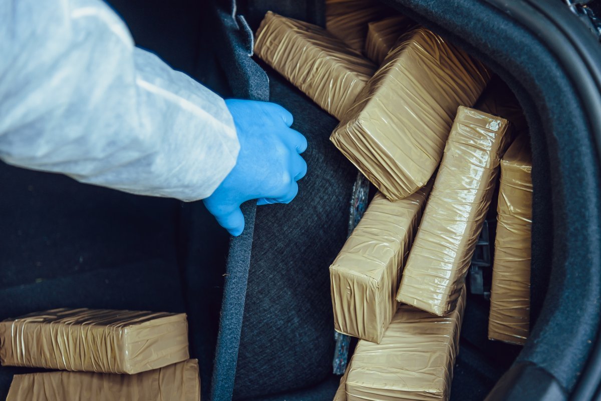 Шымкентте студенттерден есірткі тәркіленді