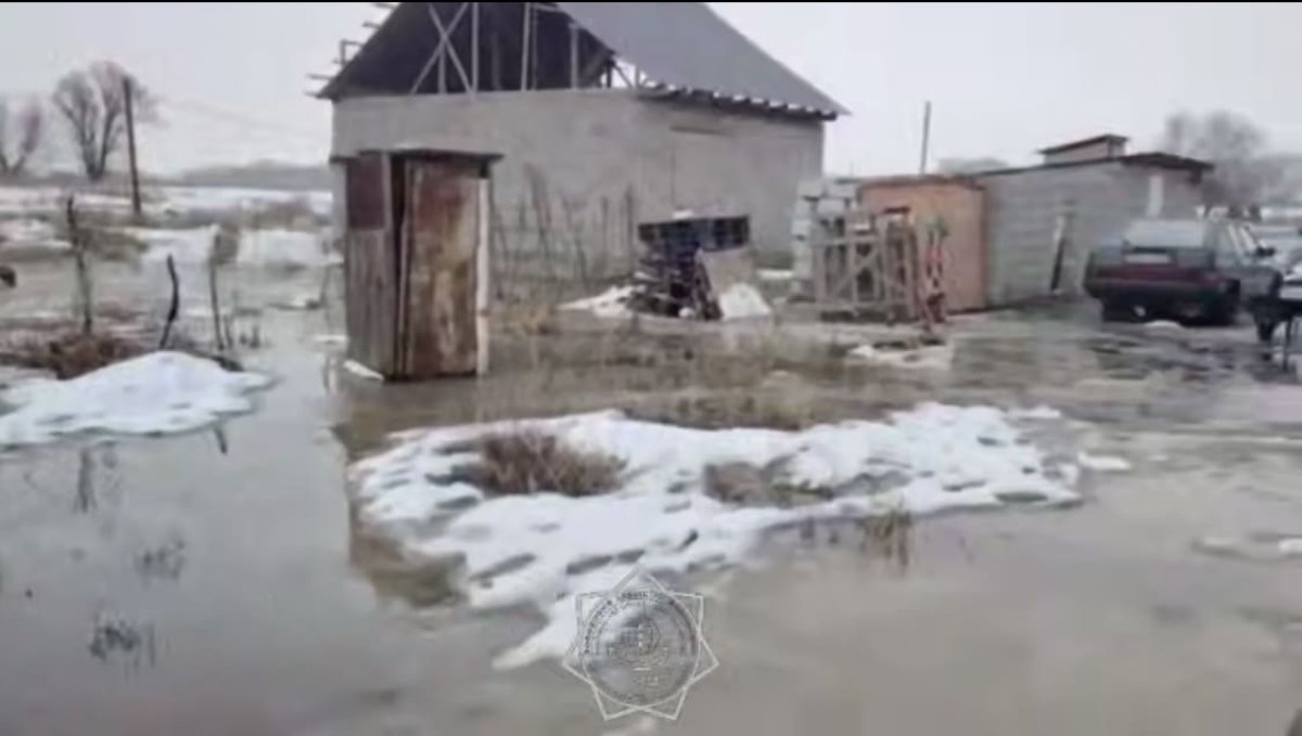 Село затопило в Алматинской области