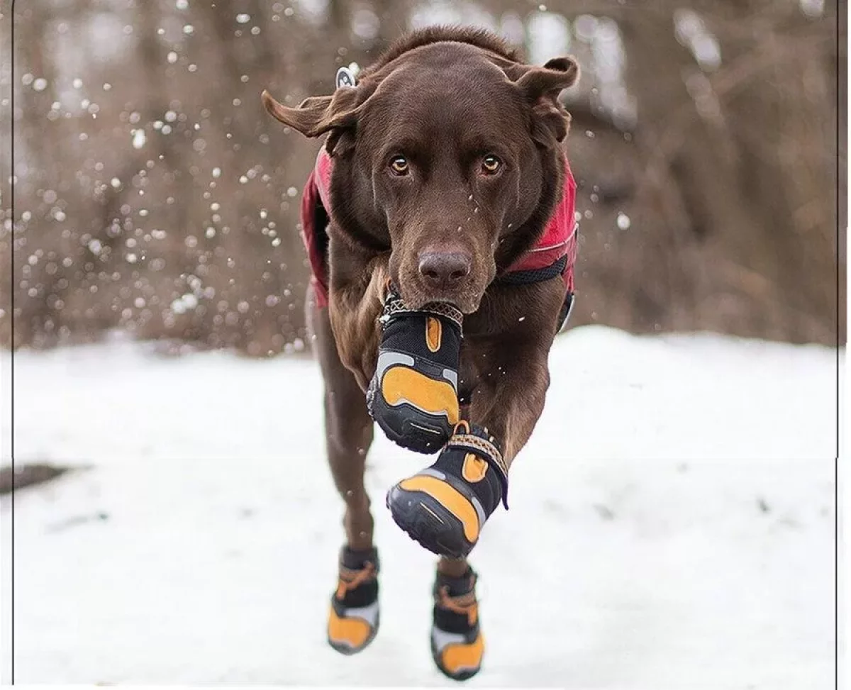 Туманы окутают все мегаполисы Казахстана в понедельник, 17 февраля
