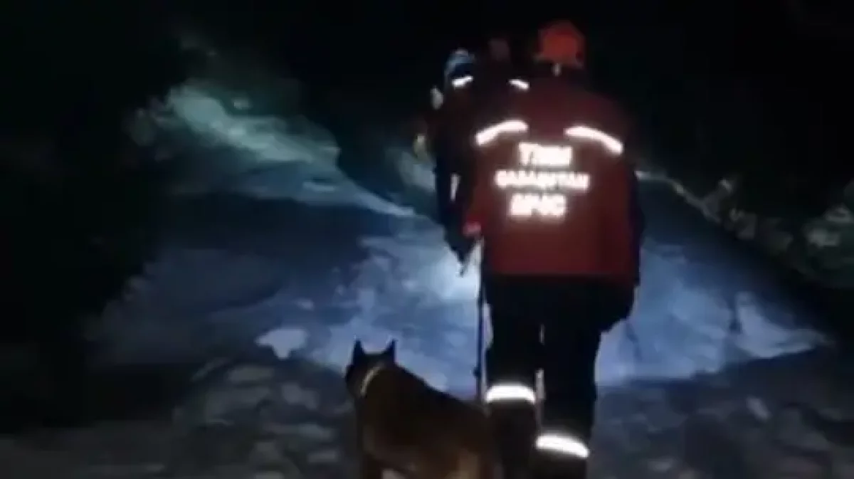 Құтқарушылар тауда адасып кеткен жасөспірімдерді тапты