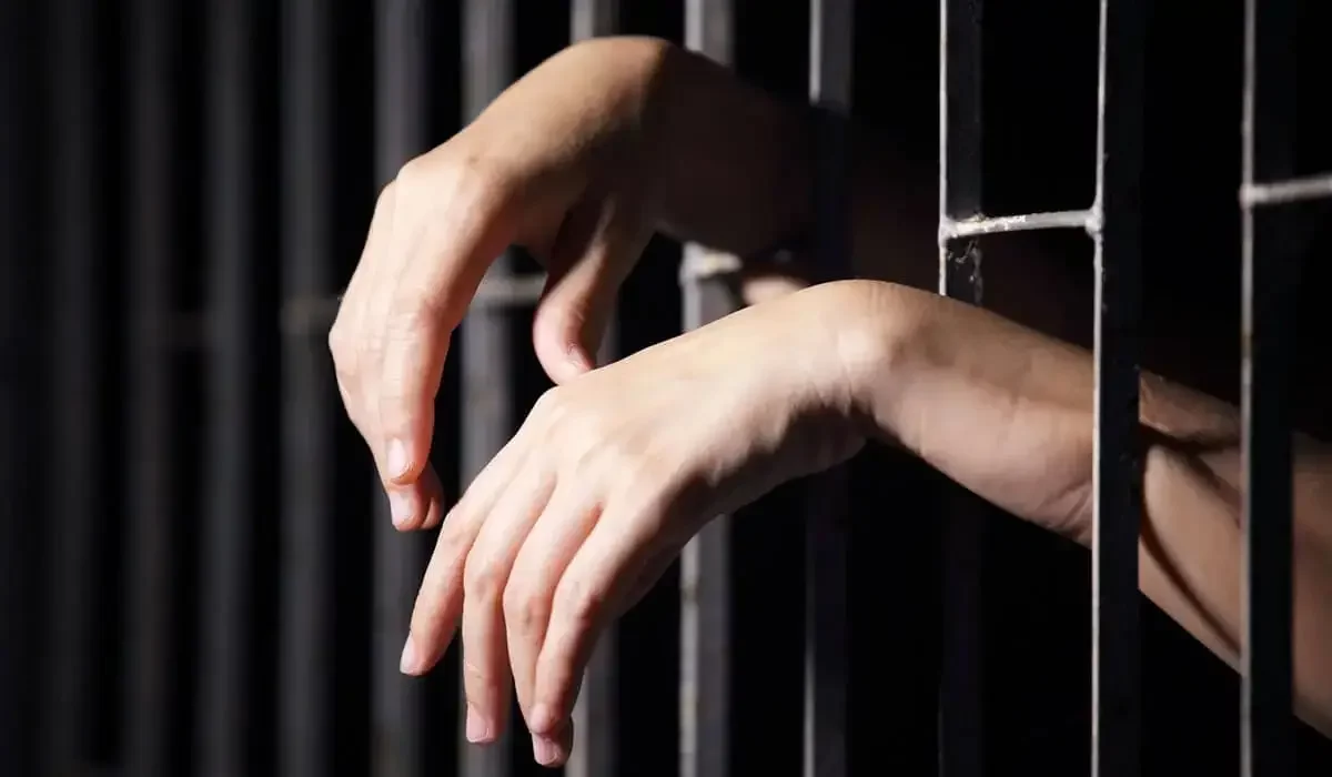 Порно адам қыздың мысығын жалайды