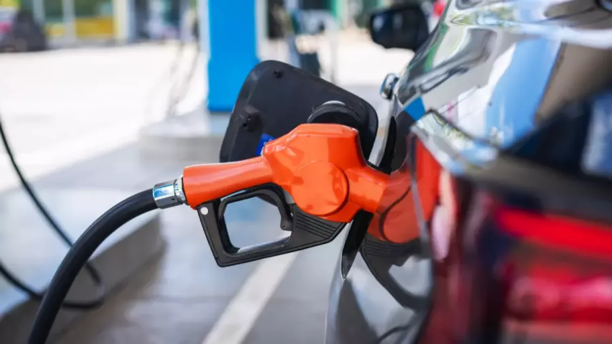 Бензин бағасы ақпанның аяғына дейін қалай өзгереді?