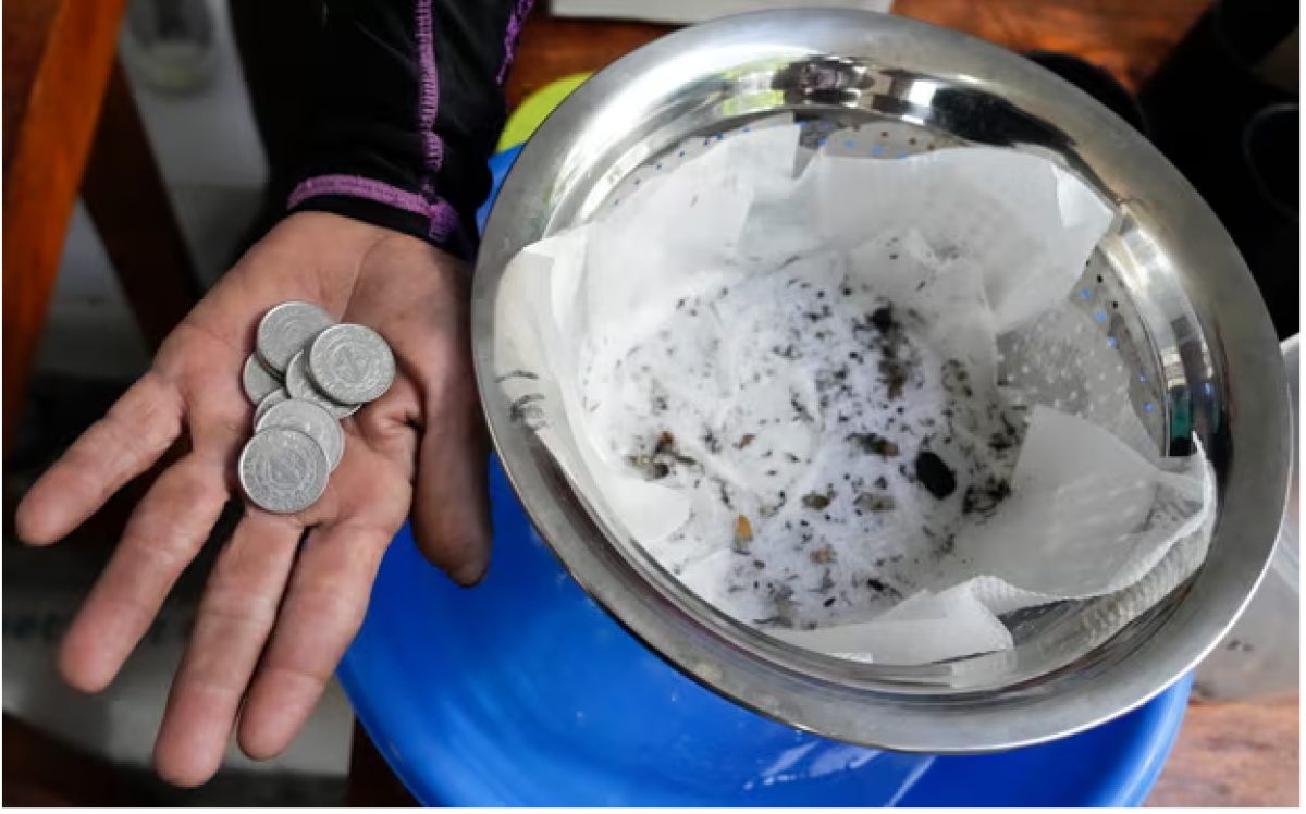 На Филиппинах начали платить деньги за убитых комаров