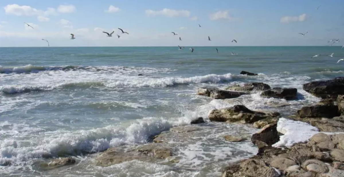 На углубление Каспия в акватории порта Актау потратят более 42 млрд тенге