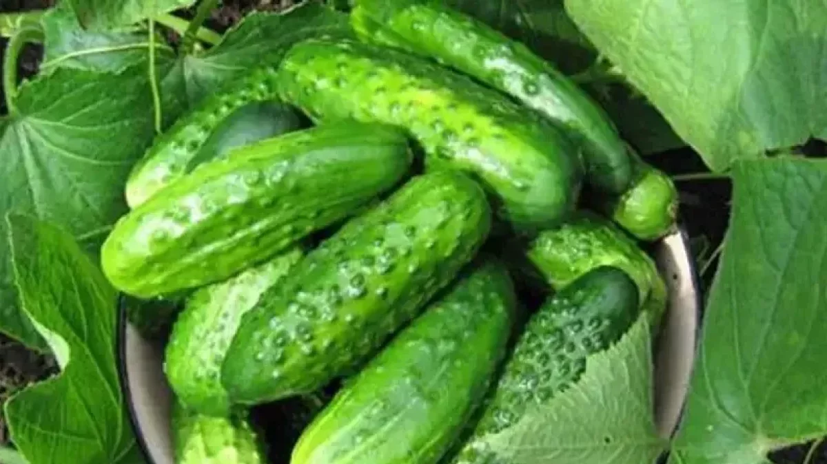 Қостанай облысында ер адам астан уланып, көз жұмды