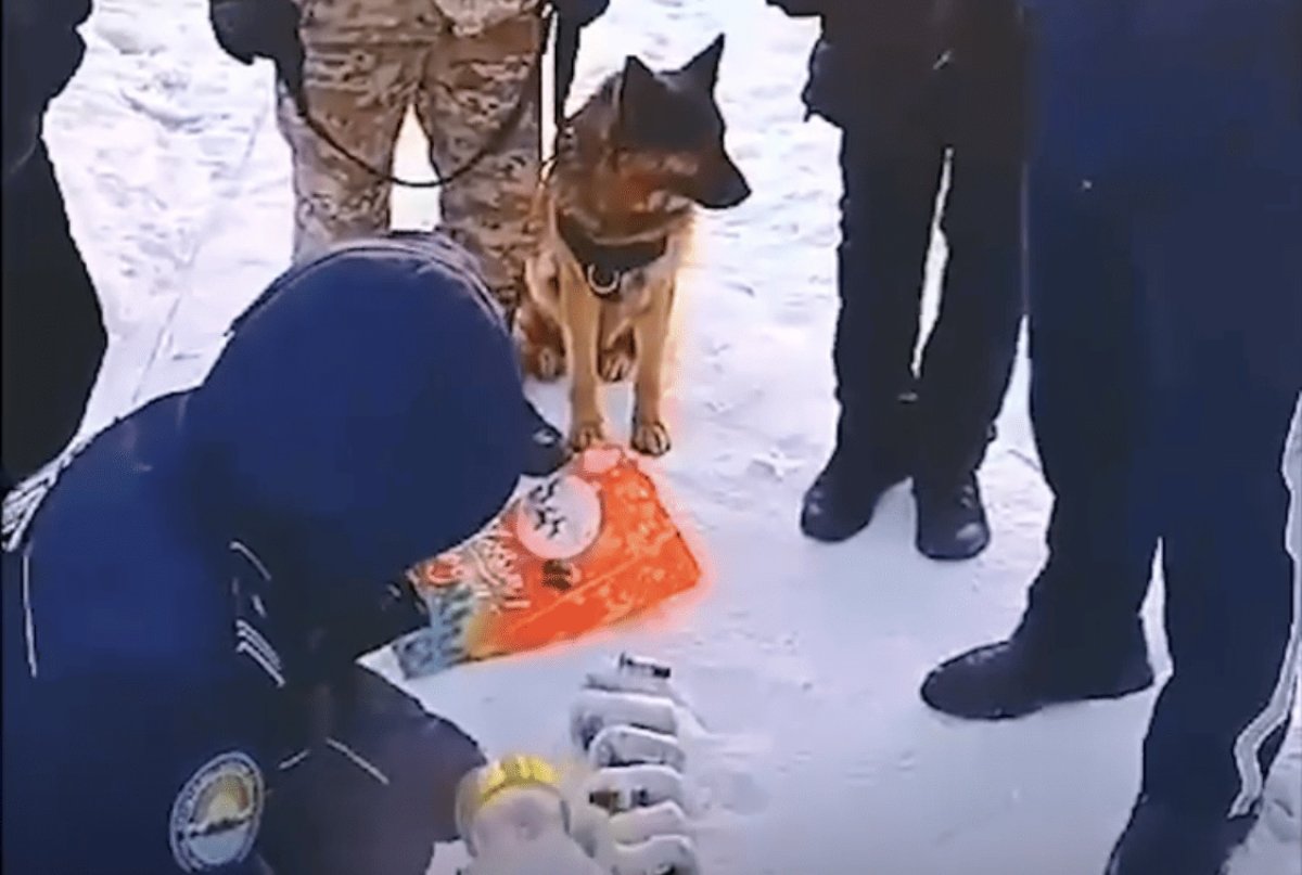 Студент и наркокурьер пытались перебросить в колонии ВКО телефоны и марихуану