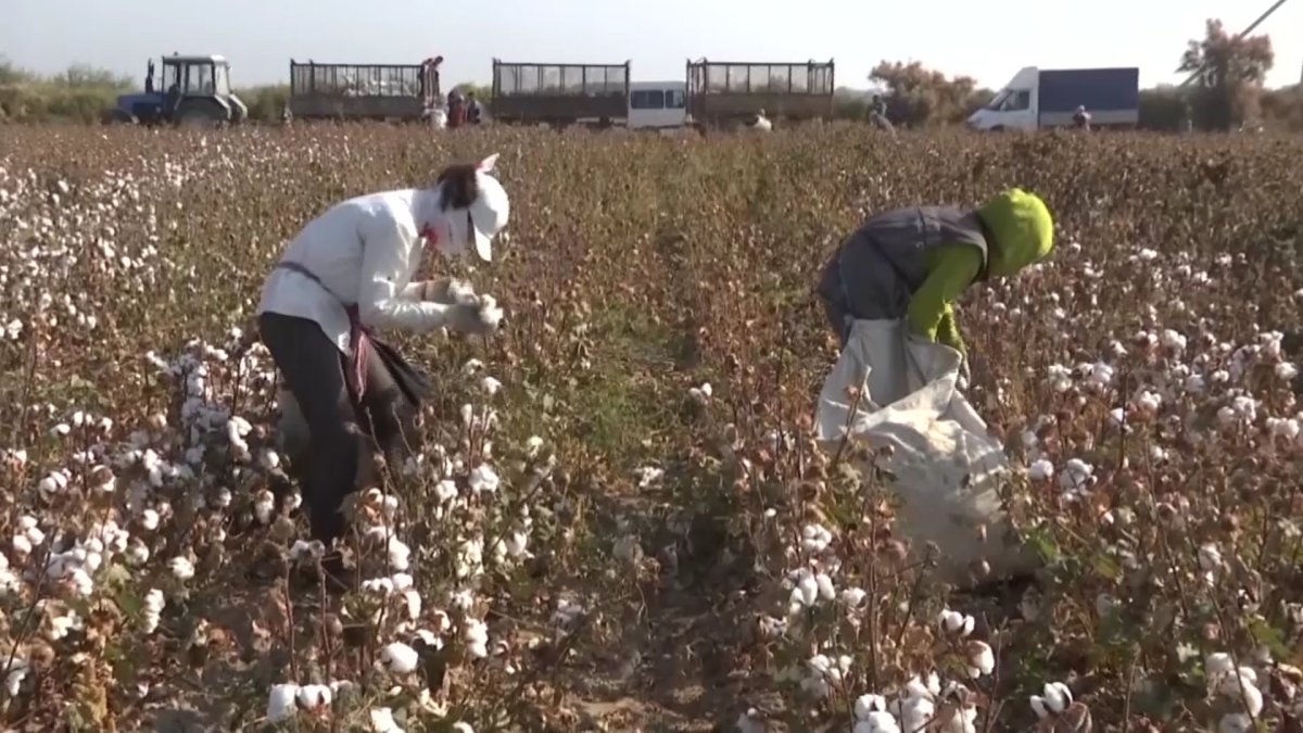 "ҚҚС көтеру арқылы бюджетке түсетін кірісті арттыруға болады", - сарапшы