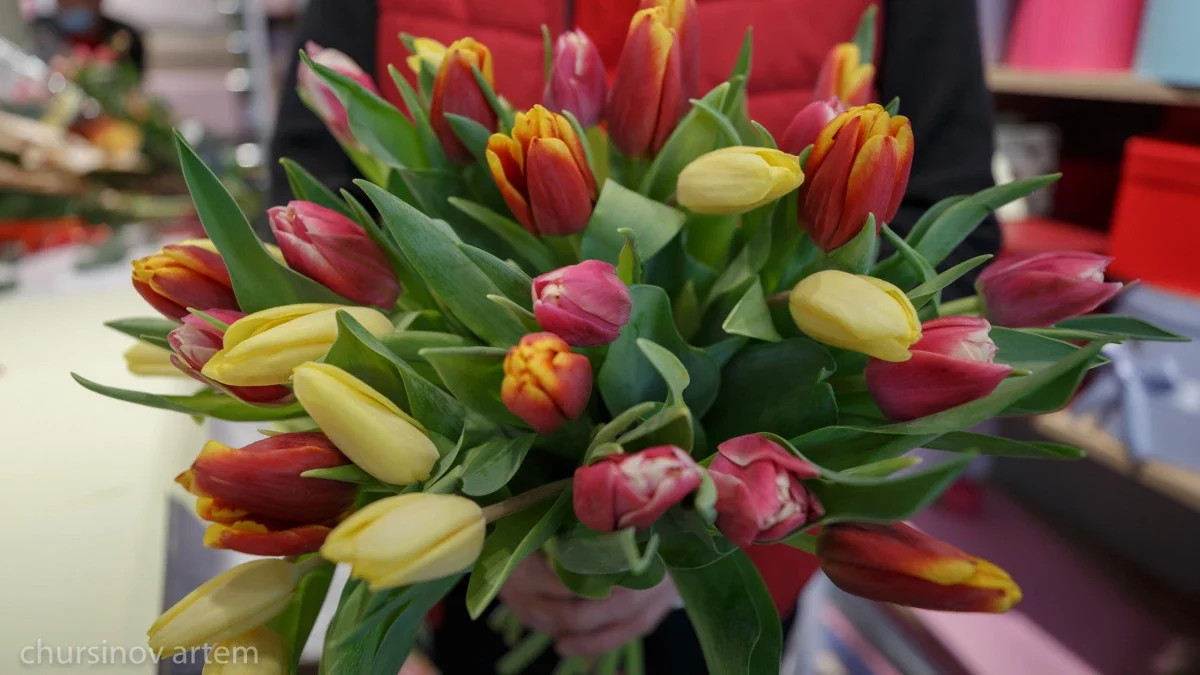 Қазақстандықтар 8 наурызда қалай демалады?