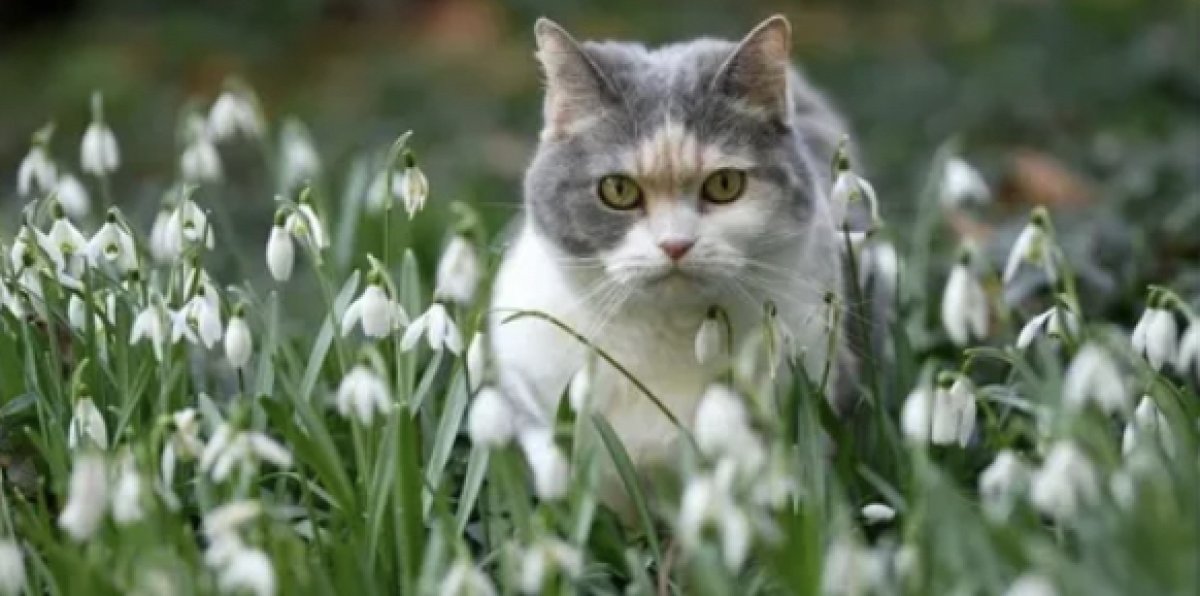 Какой будет погода в марте, рассказали синоптики