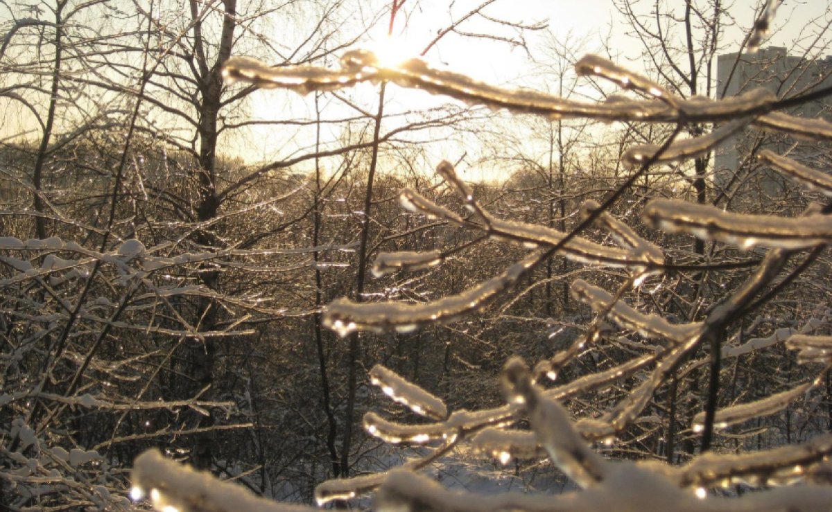 Астанчан предупредили о сильном тумане и гололёде во вторник, 4 февраля