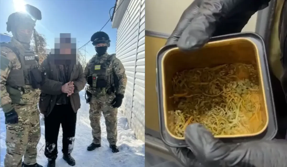 Щучинскте есірткі өсірмек болған адам өмір бойына сотталып кетуі мүмкін