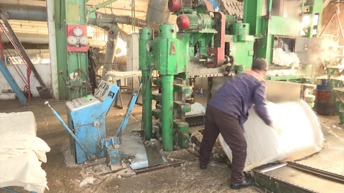 Түркістан облысындағы мақта өңдеу зауыттарында жас мамандар тапшы