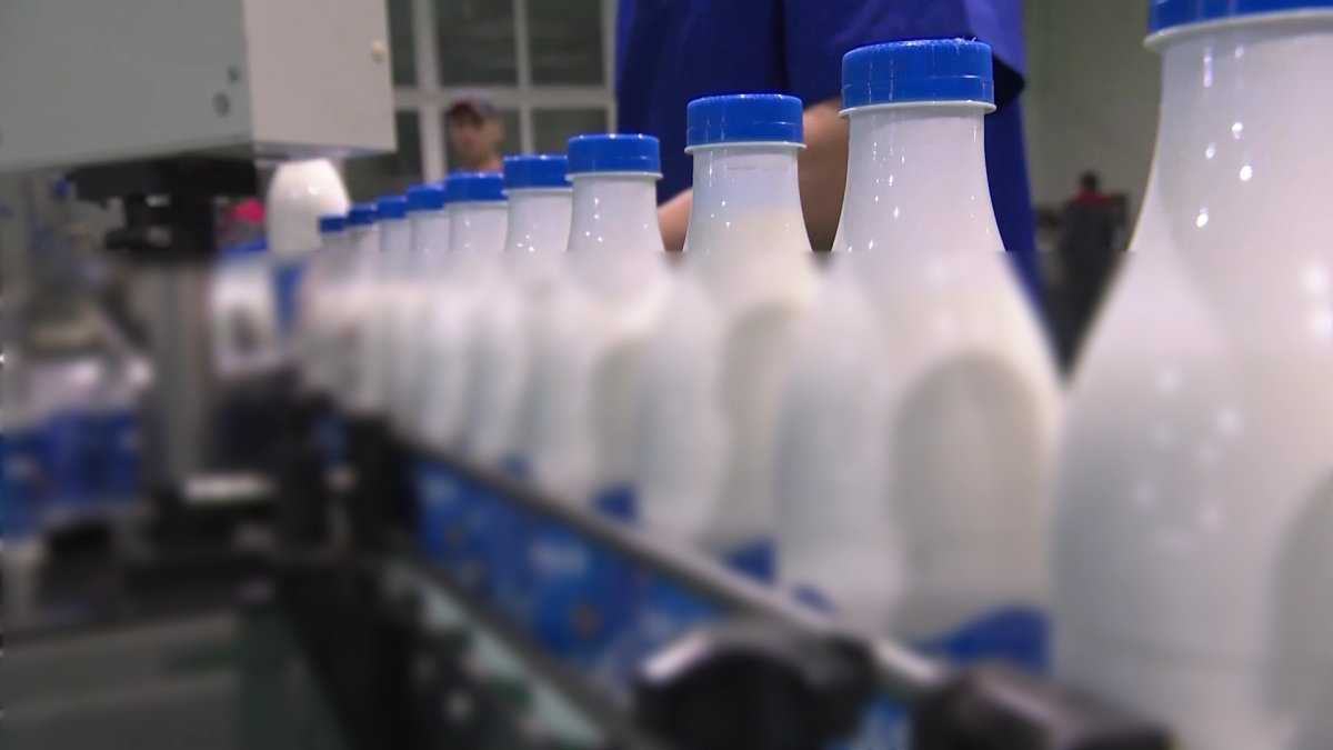 Предприниматель в СКО приобрёл внедорожник на незаконно полученные субсидии от государства