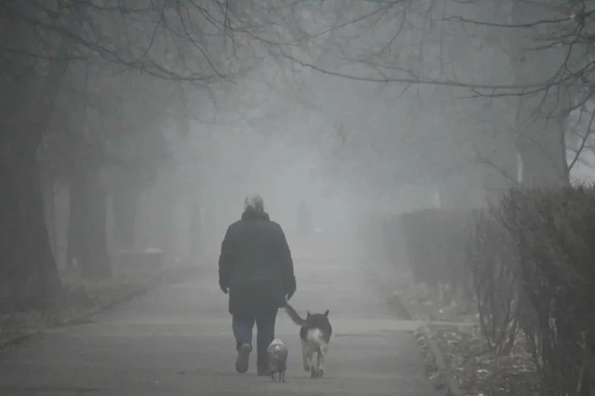 В Шымкенте +13, в Астане -21: погода в мегаполисах на субботу, 8 февраля