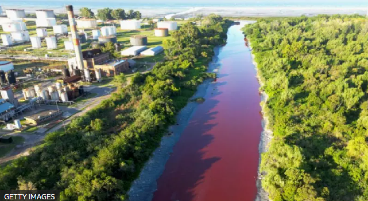 Загадка ярко-красной воды. Канал под Буэнос-Айресом поменял цвет, местные жители встревожены